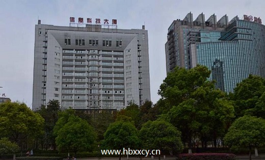 湖北信息产业科技大厦